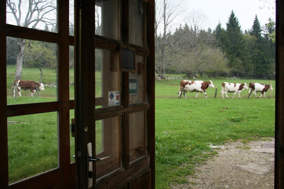 Auberge De La Perdrix Hauterive-la-Fresse Bagian luar foto
