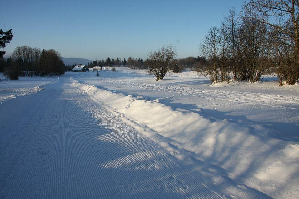 Auberge De La Perdrix Hauterive-la-Fresse Bagian luar foto