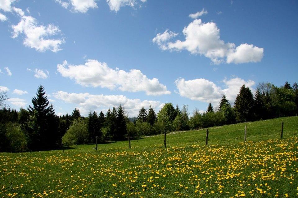 Auberge De La Perdrix Hauterive-la-Fresse Bagian luar foto