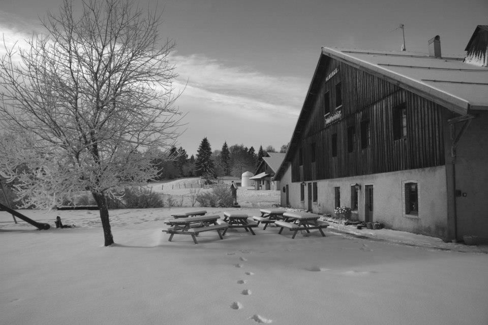 Auberge De La Perdrix Hauterive-la-Fresse Bagian luar foto