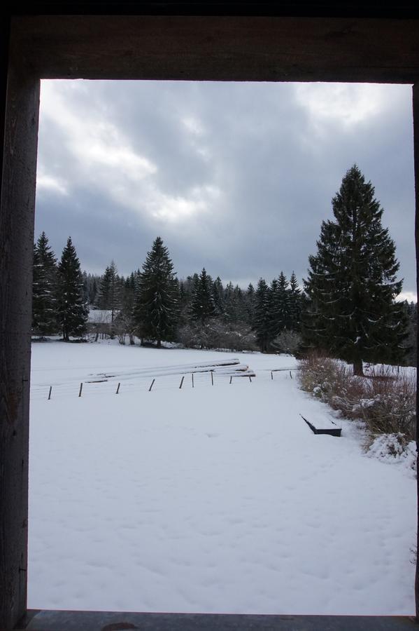 Auberge De La Perdrix Hauterive-la-Fresse Bagian luar foto